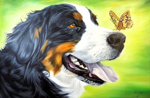 Bernese Dog and the Butterfly Hani Badawi Leo