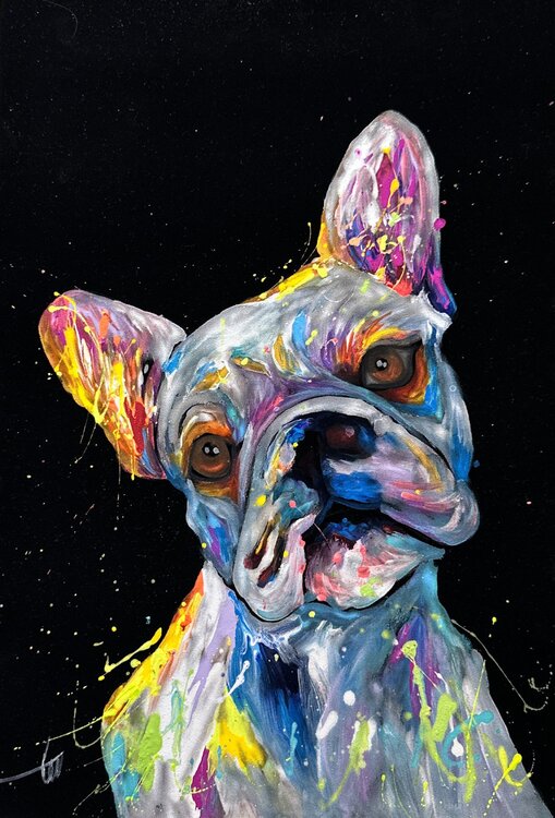 Carlino Pop Color Velvet Hani Badawi Leo