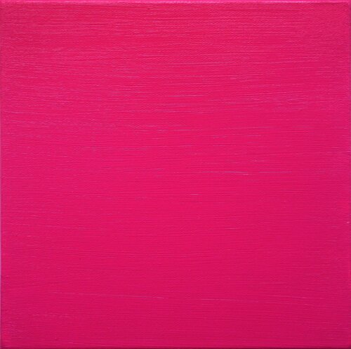 366 Rose Chinacridonrosa Friedhelm Wolfrat