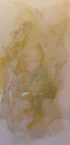Natural Beauty 2 van Tamara Bettencourt, Schilderij te koop op Singulart