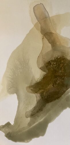Natural Beauty 8 di Tamara Bettencourt, Pittura in vendita su Singulart