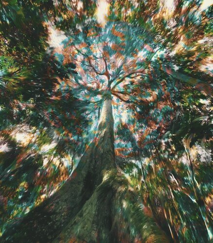 Sama uma Giovanni Sanesi