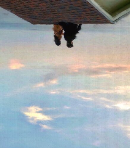 Vis or non-time von Giovanni Sanesi, Malerei kaufen auf Singulart