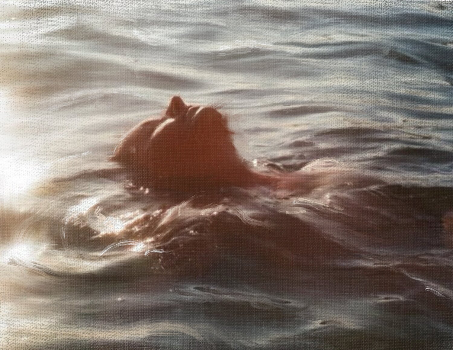 Abandon flow Giovanni Sanesi