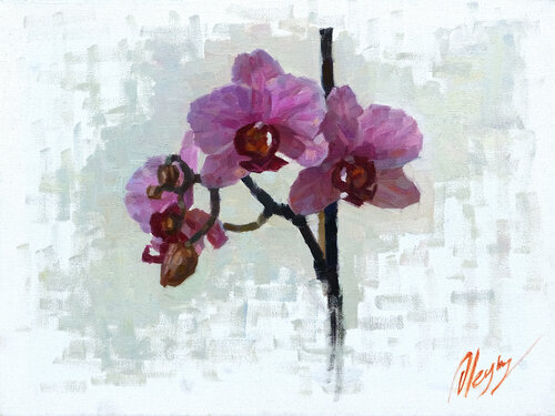 Orchids by Dmitry Oleyn, 油畫 for Sale on Singulart
