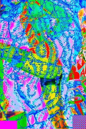 Akt Frau van Udo von Gelden, Digitaal te koop op Singulart