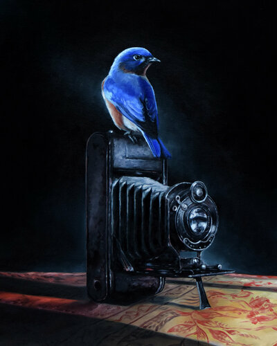 Photographer de Scott Ferguson, Pintura a la venta en Singulart