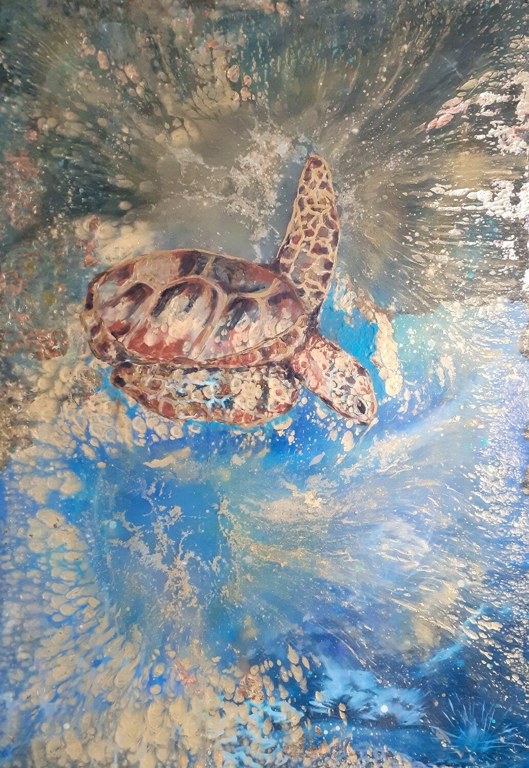 Turtle Ivana Brazdova