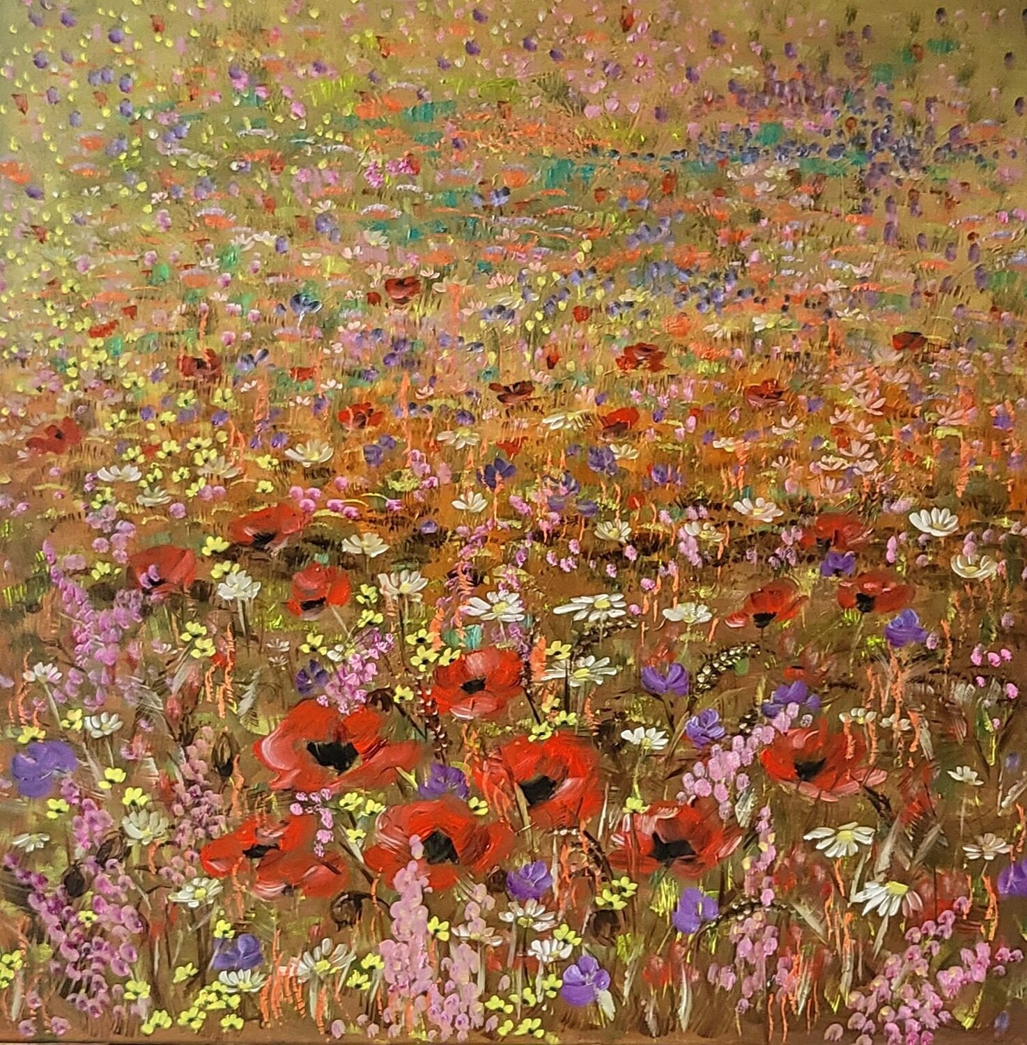 Summer mood Ivana Brazdova