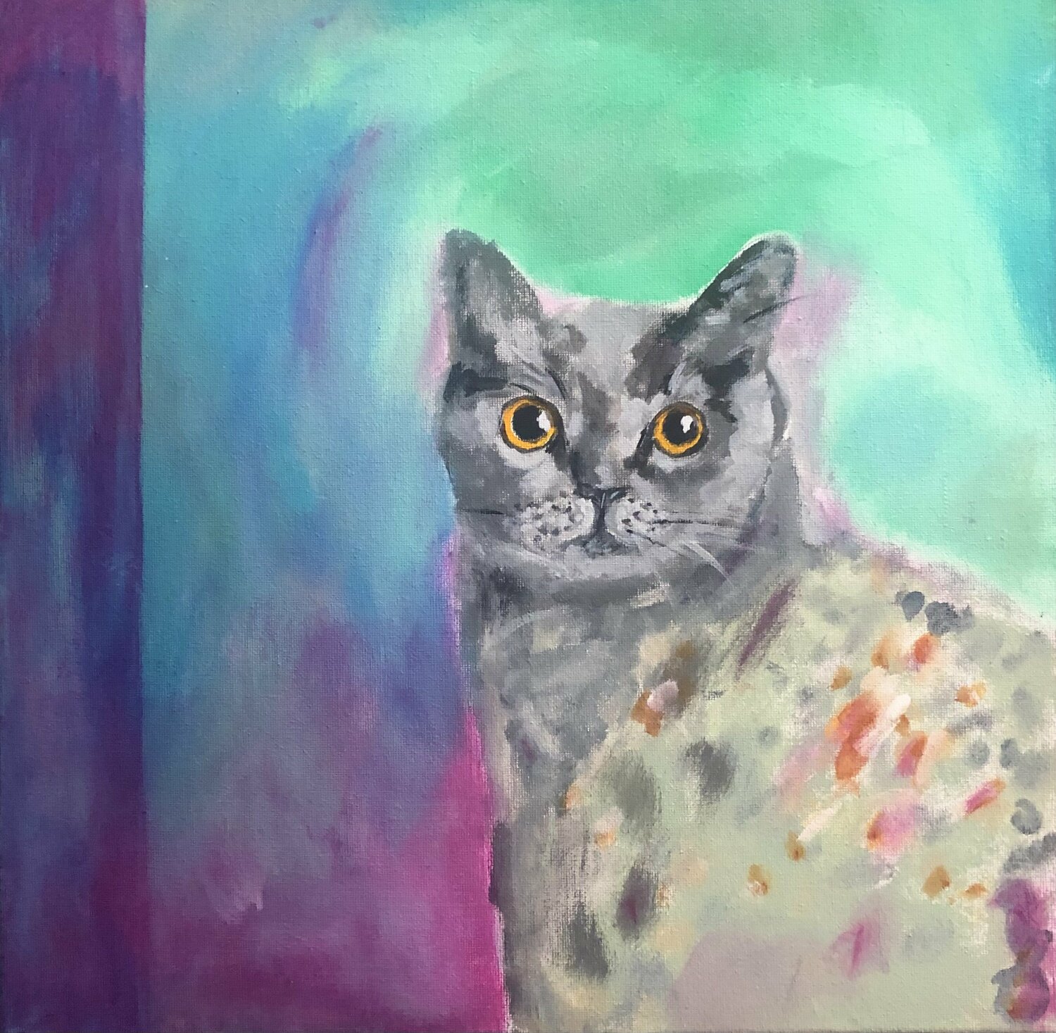 Geliebte, schöne  Katze Anne Samson