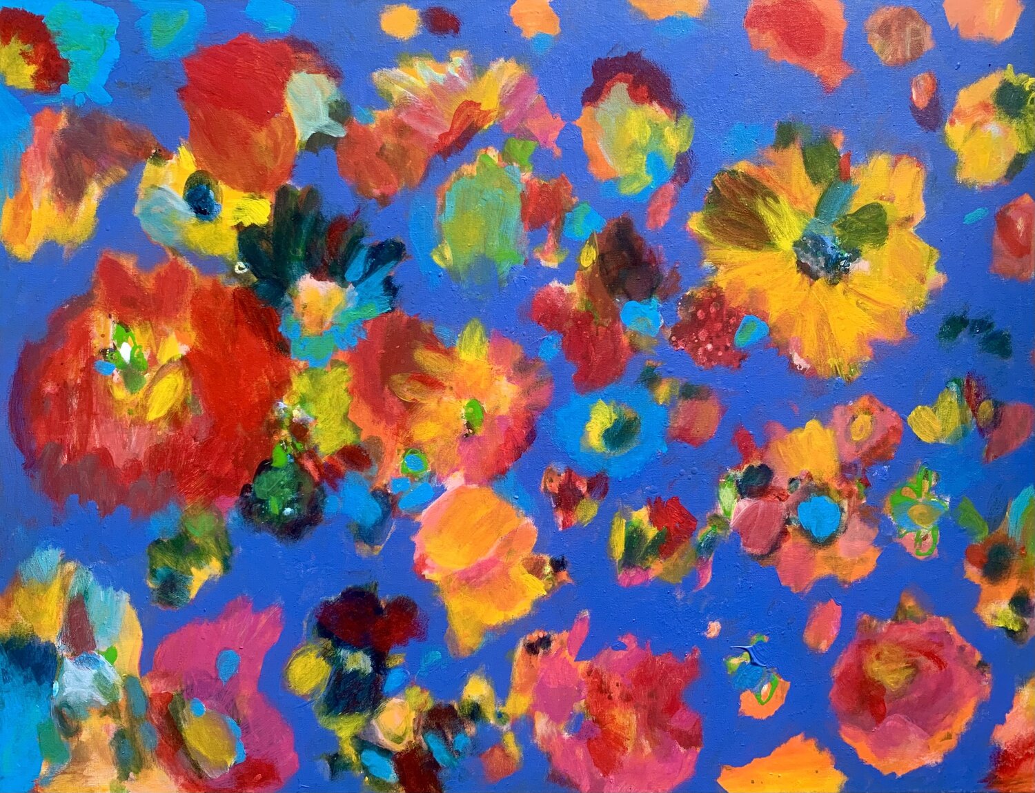 Gelbe und rote Blüten Anne Samson