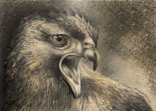 Shout de Randa Hijazi, Pintura a la venta en Singulart