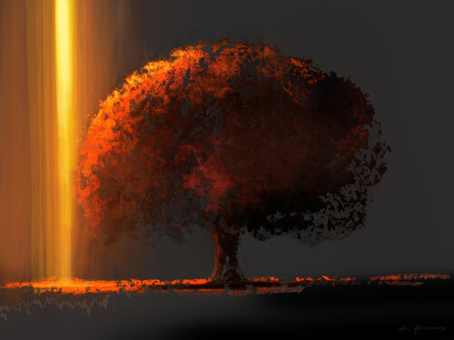 STRUCK BY THE LIGHT par Alessandro Piras, Édition en vente sur Singulart