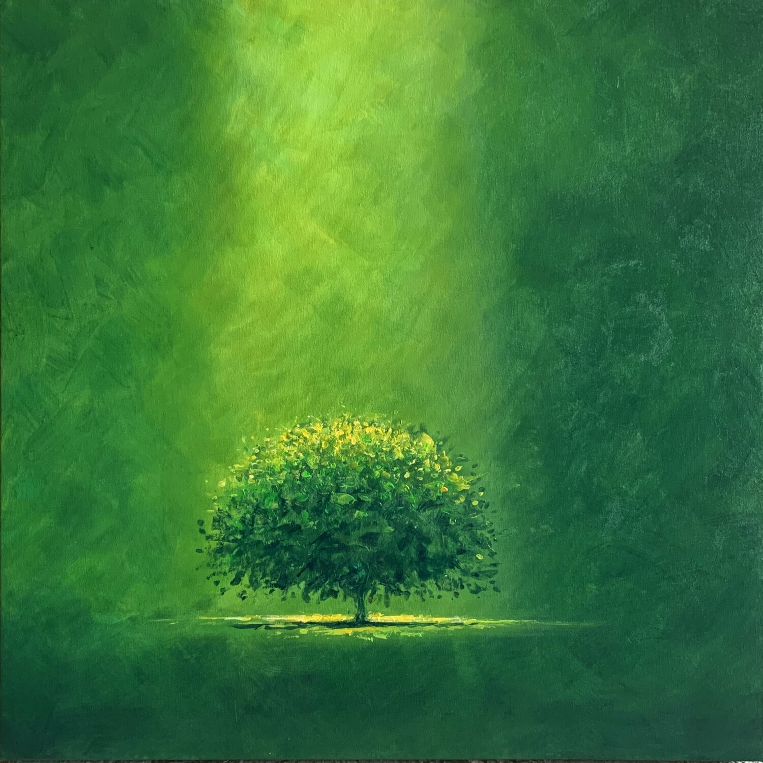 GREEN HOPE Alessandro Piras