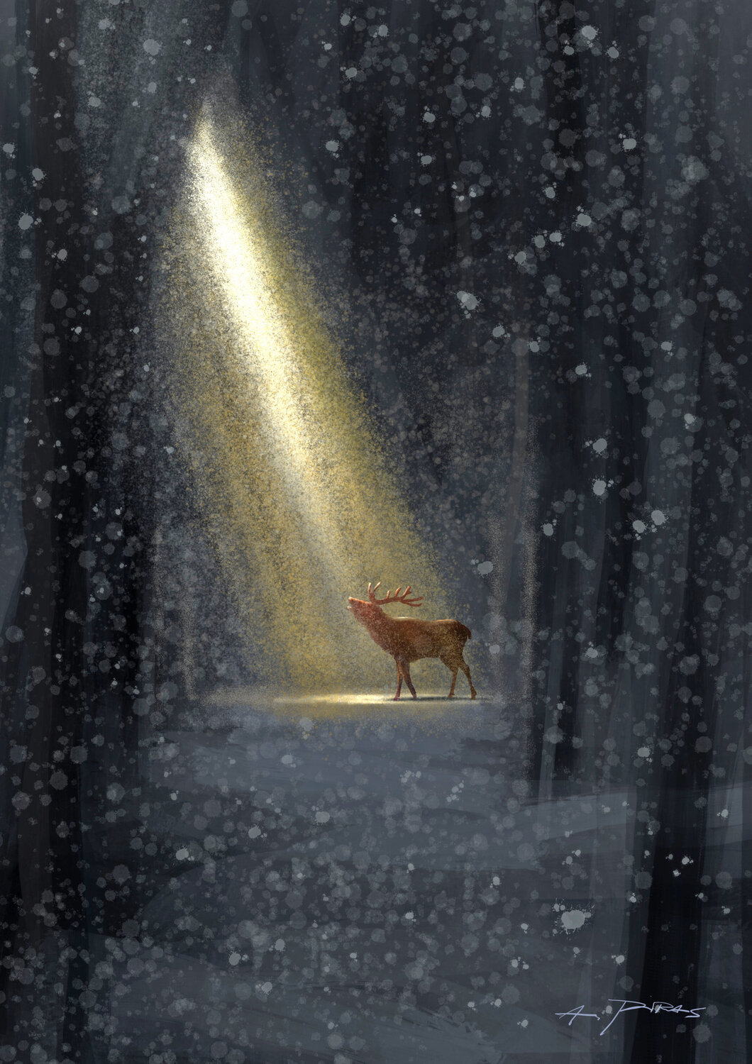 MY DEER Alessandro Piras