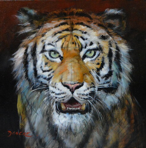 TIGRE 2 by PASCAL DABERE, Painting for Sale on Singulart