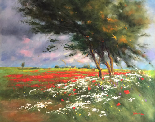 Marguerites et coquelicots by PASCAL DABERE, Painting for Sale on Singulart