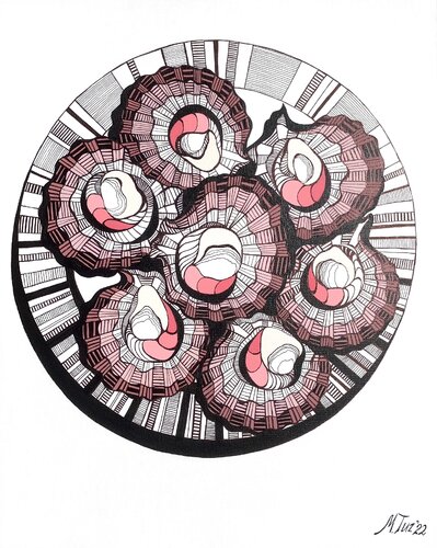 SEA SCALLOP ON A ROUND PLATE by Tuzhilkina Maria, 소묘 for Sale on Singulart