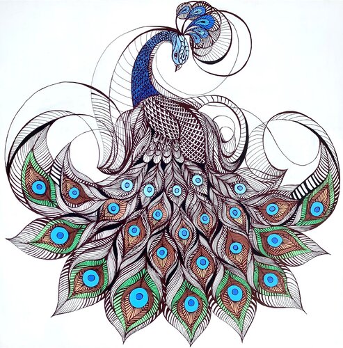 LACE PEACOCK van Tuzhilkina Maria, Tekening te koop op Singulart