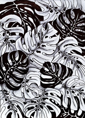 MONSTERA GRAPHIC LEAVES di Tuzhilkina Maria, Pittura in vendita su Singulart