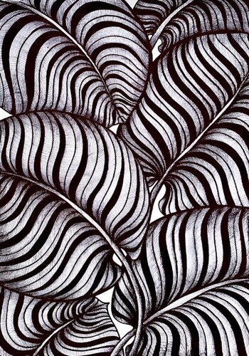 TROPICAL ZEBRA LEAVES di Tuzhilkina Maria, Pittura in vendita su Singulart