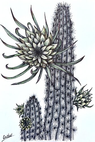 YELLOW CACTUS FLOWERS di Tuzhilkina Maria, Disegno in vendita su Singulart