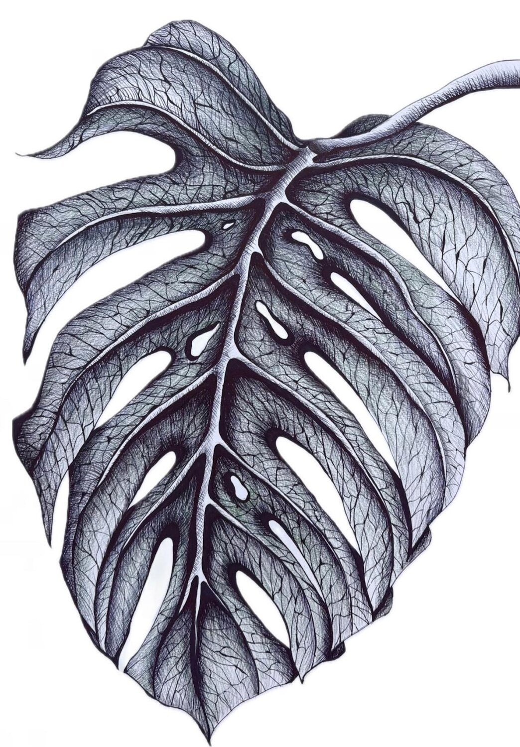 SINGLE MONSTERA LEAF Tuzhilkina Maria