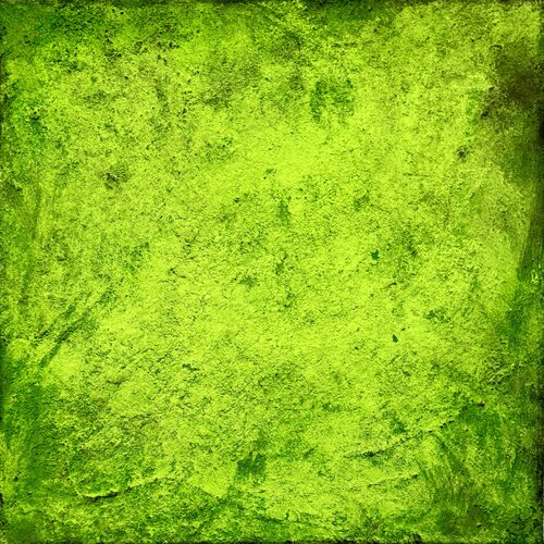 Bright and rough Isabel Kleinert