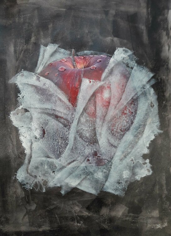 Apfel  III Friedrich Wurm