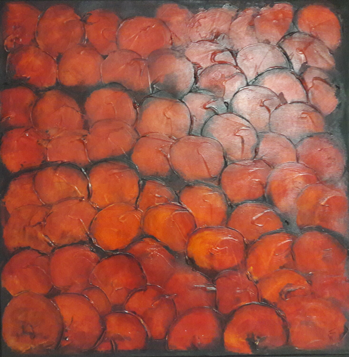 Roter Mohn Friedrich Wurm