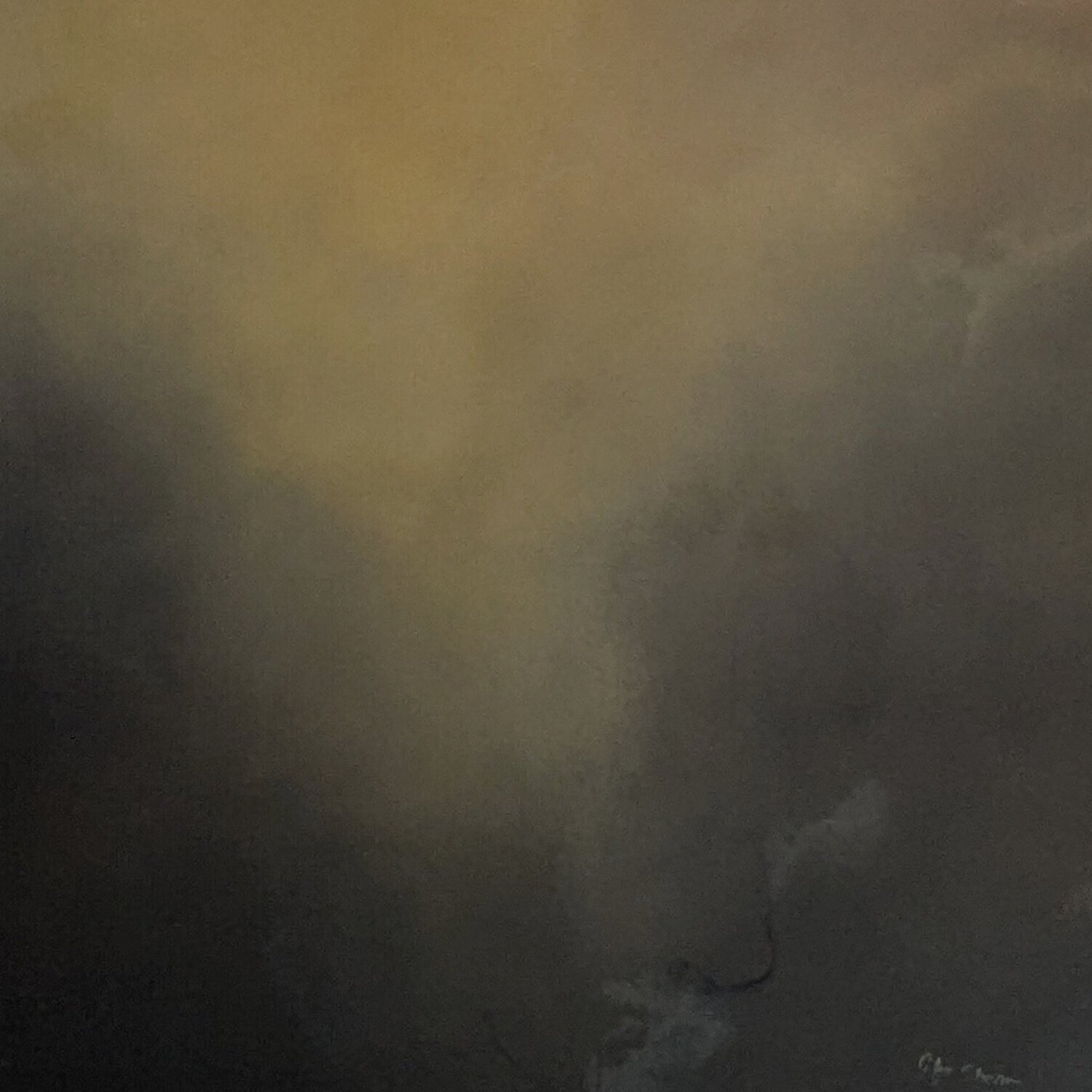 Dimmed Light Gabriela Azar Schreiner
