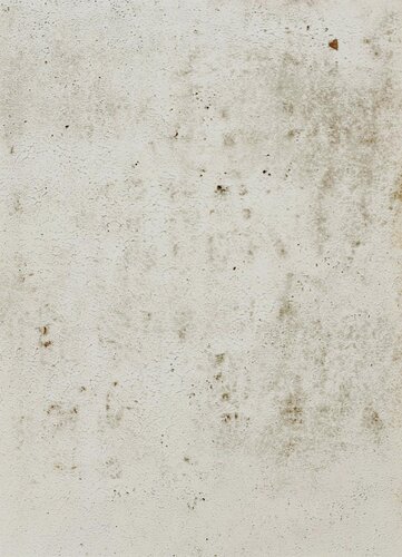 Sans Titre by Iliana Tosheva, Painting for Sale on Singulart