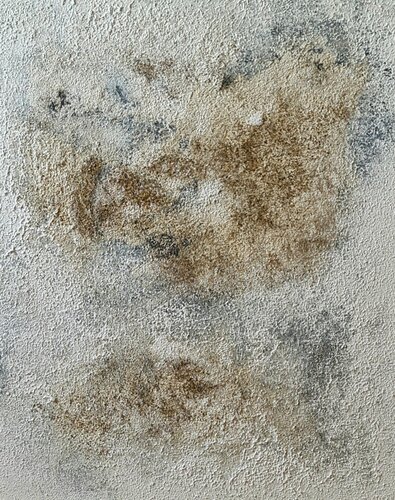 THE WAY I AM van Iliana Tosheva, Schilderij te koop op Singulart