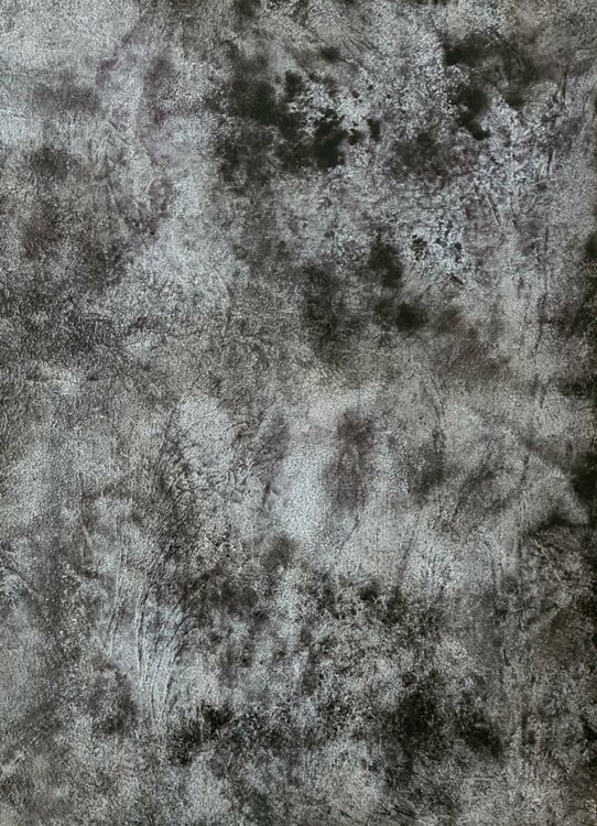 Abstract #4 Iliana Tosheva
