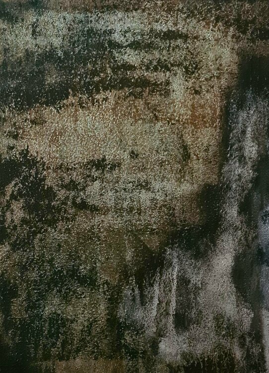 Abstract #7 Iliana Tosheva