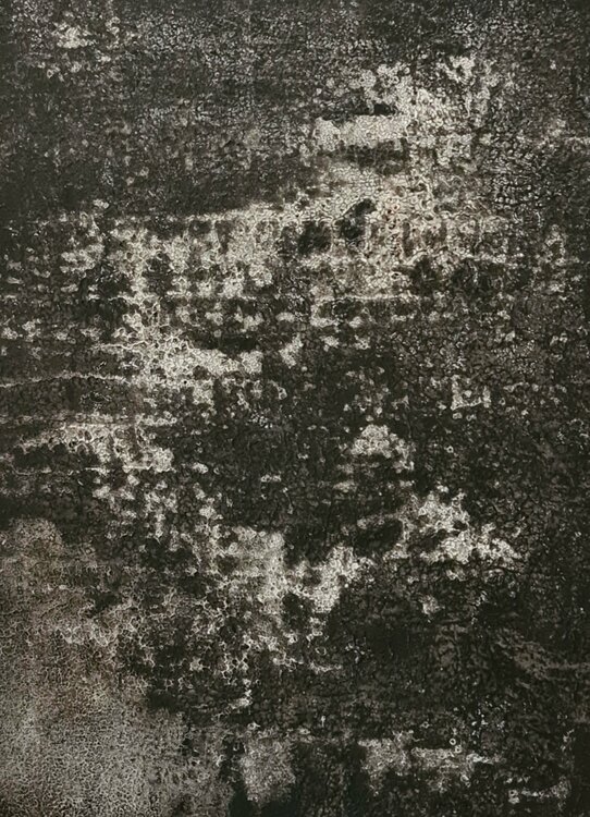 Abstract #12 Iliana Tosheva