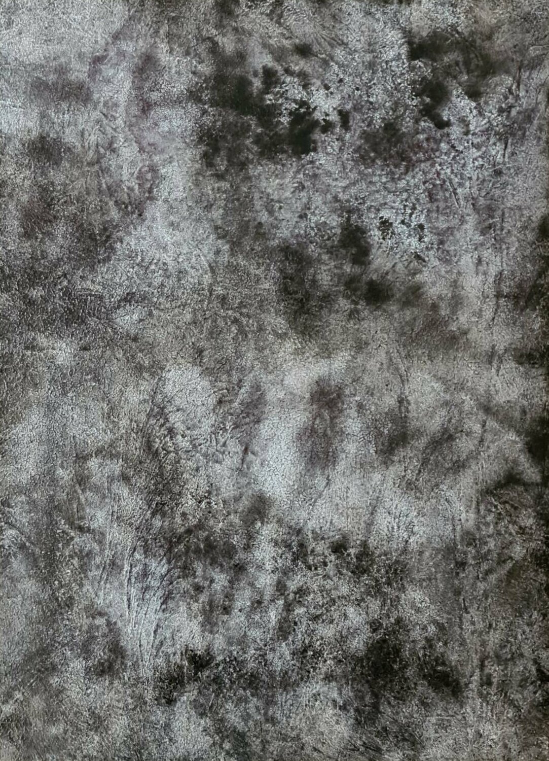 Abstract #4 Iliana Tosheva