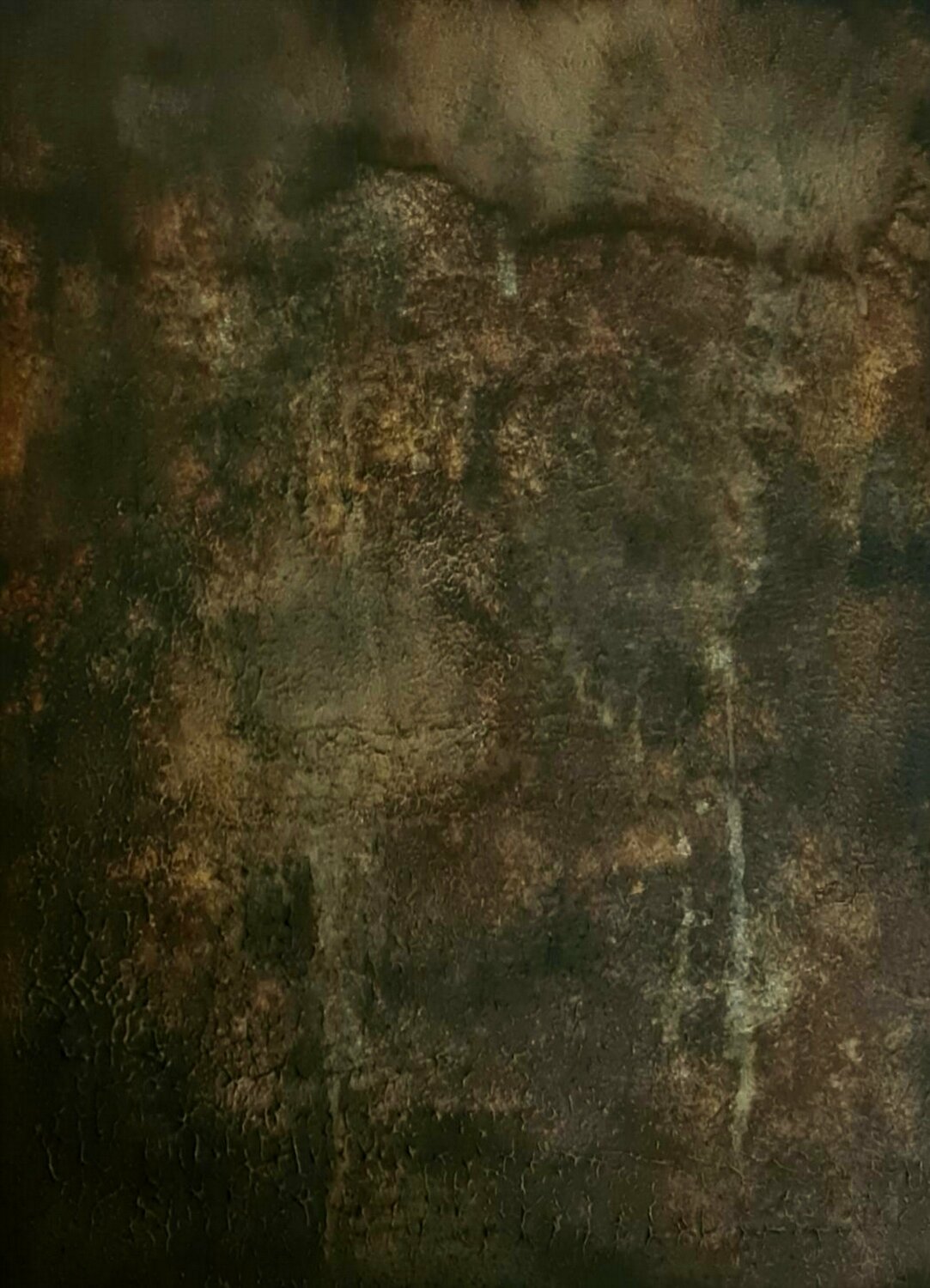 Abstract #5 Iliana Tosheva