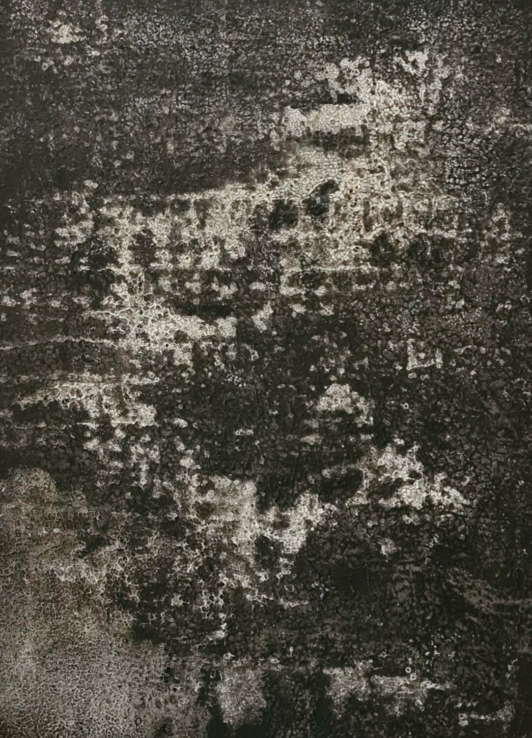 Abstract #12 Iliana Tosheva