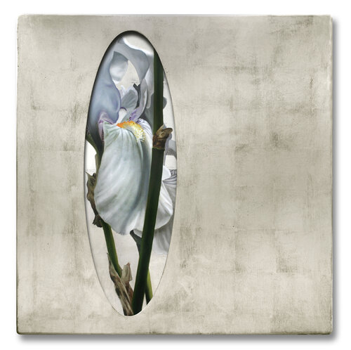 Lirios blancos by enrique gonzález, Painting for Sale on Singulart