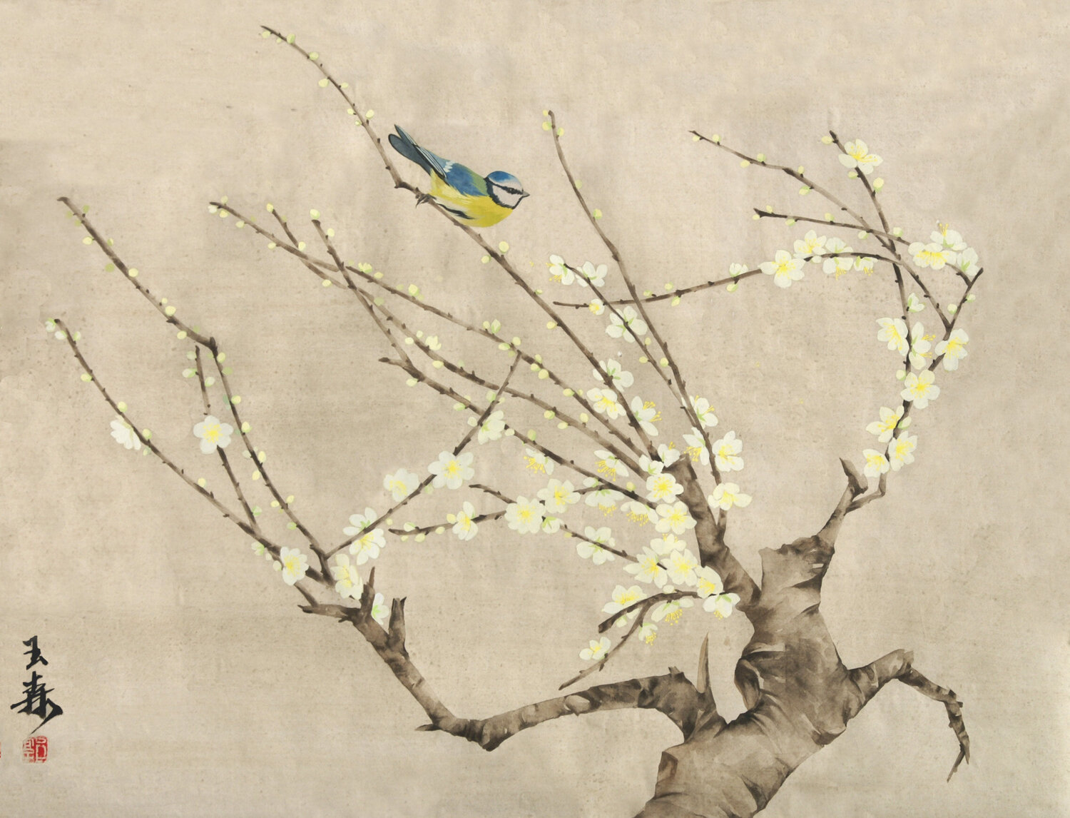 The Message From Spring Li Tellenbach-Guo
