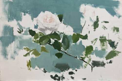 White rose. Rose blanche. Rosa blanca Antonio Mateos Prieto