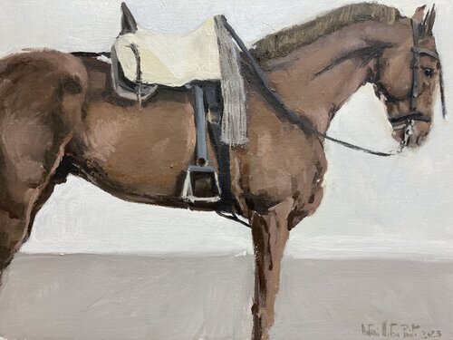 Caballo con silla. Chevau. Horse. Antonio Mateos Prieto