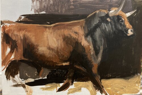 Estudio de toro Antonio Mateos Prieto