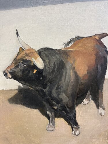 Toro. Bull. Taureaux (VIII) di Antonio Mateos Prieto, Pittura in vendita su Singulart
