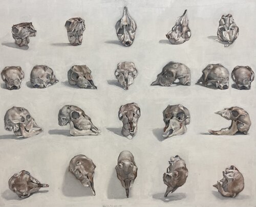 Cráneo de cabrito di Antonio Mateos Prieto, Pittura in vendita su Singulart