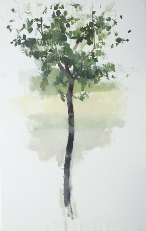 ÁRBOL EN EL CAMPO Antonio Mateos Prieto