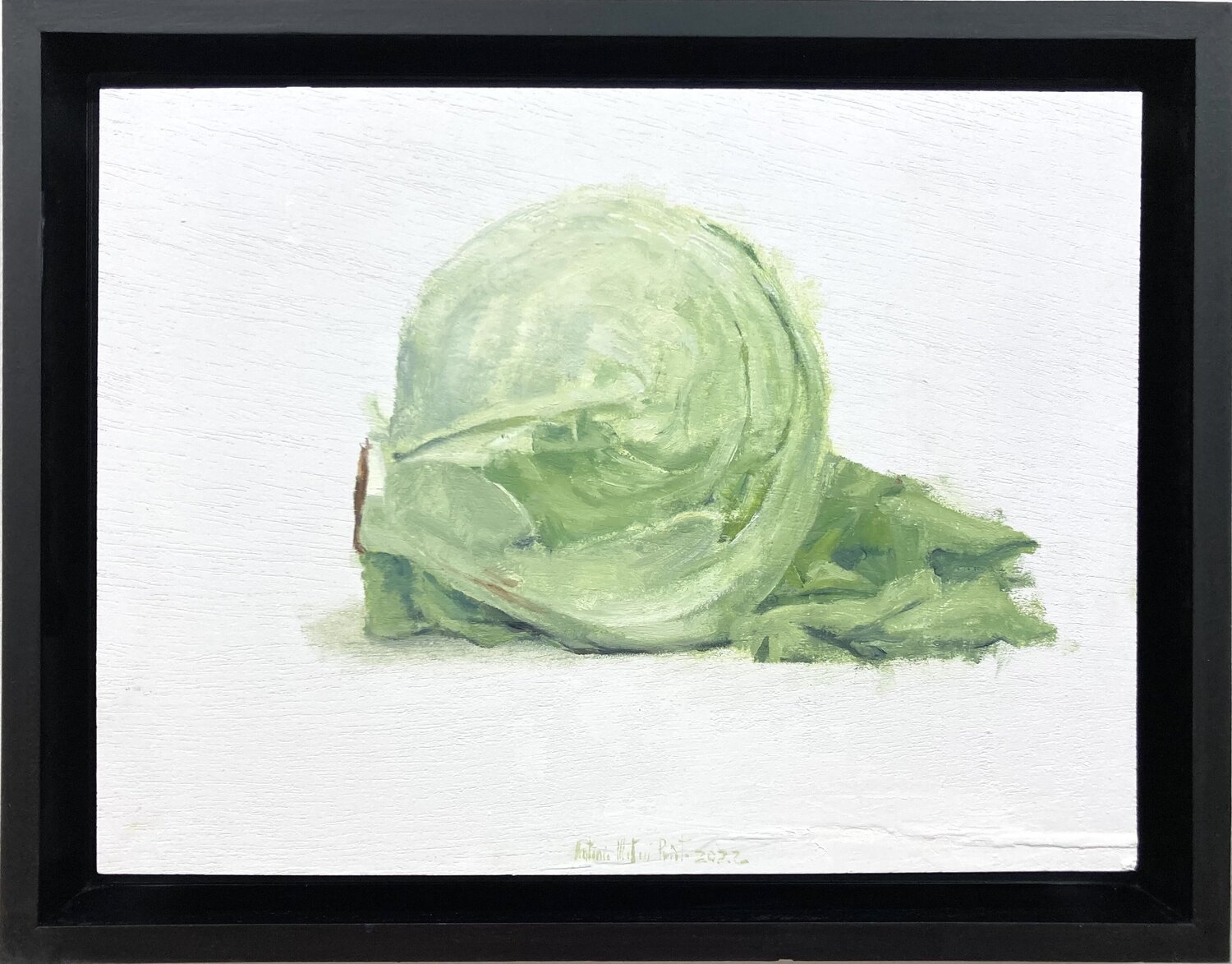Iceberg letucce. Still life. Antonio Mateos Prieto