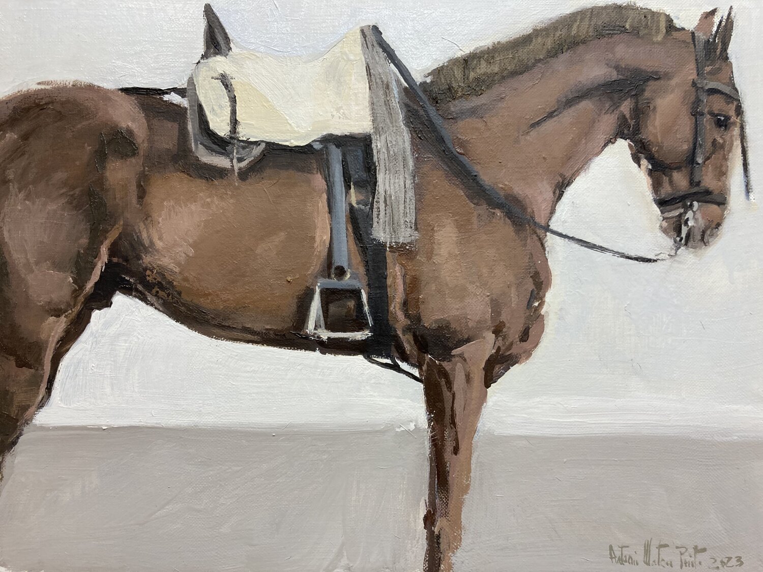 Caballo con silla. Chevau. Horse. Antonio Mateos Prieto