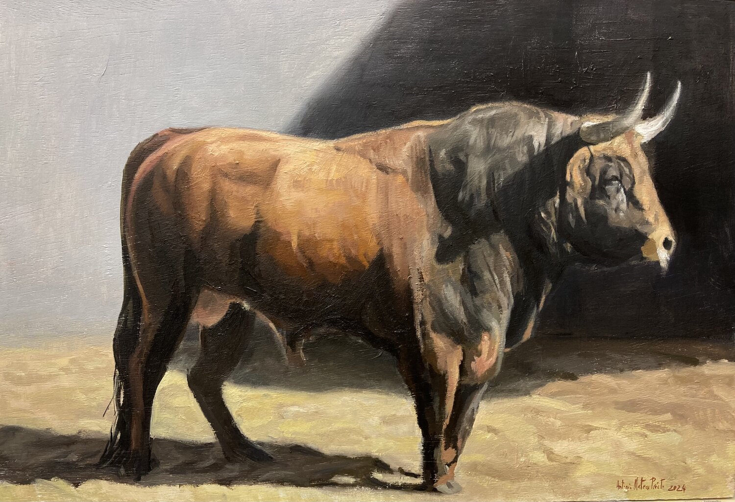 Taureau. Bull. Toro. (VII) Antonio Mateos Prieto